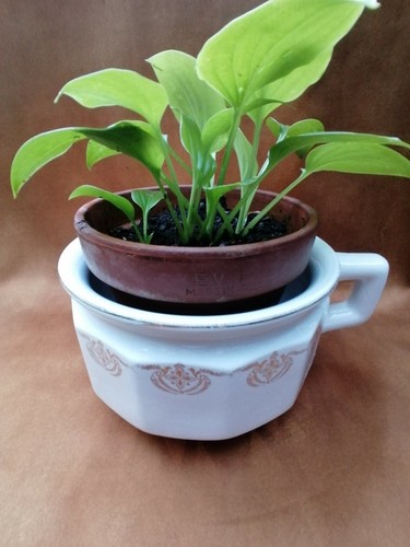 Vaso notte ceramica - vaso,