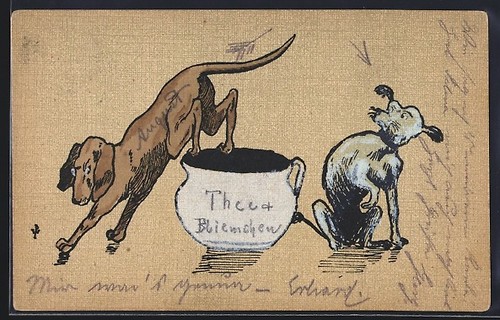 Due cani con vaso - cani, un